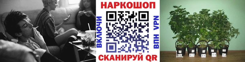 Хочу наркоту Нерюнгри COCAIN  Псилоцибиновые грибы  ГАШИШ  АМФЕТАМИН  Бошки Шишки  A-PVP  Героин  МЕФ 
