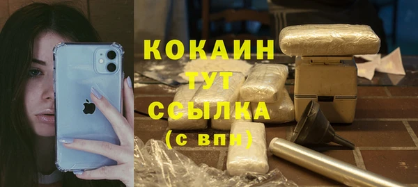 винт Богданович
