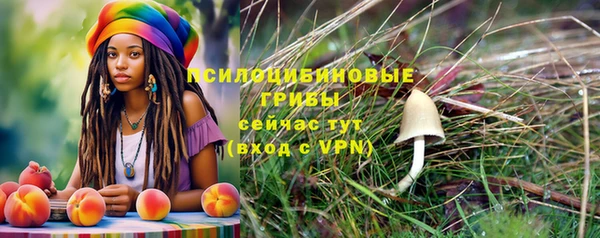 шишки Бугульма
