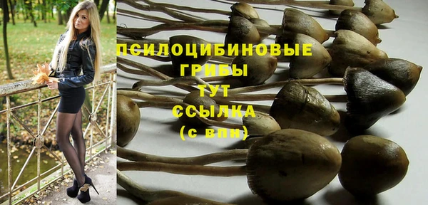 шишки Бугульма