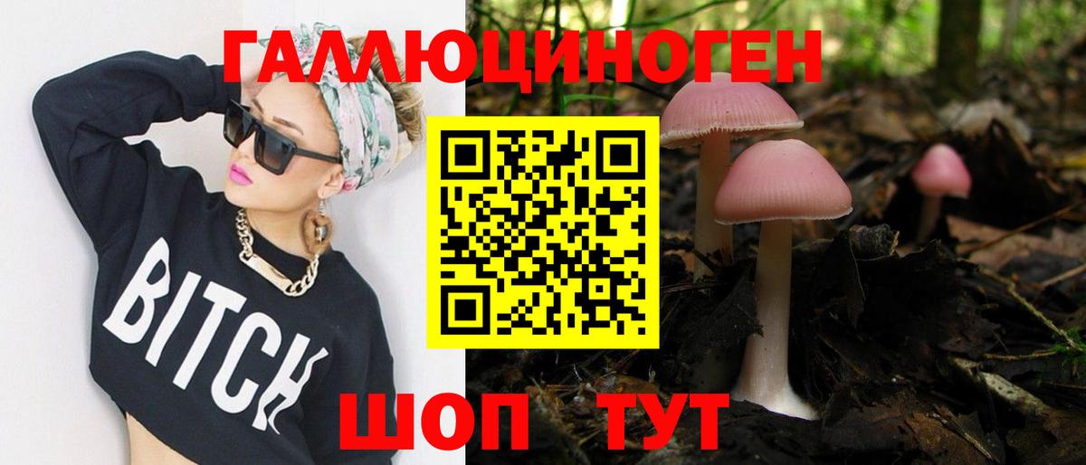 Галлюциногенные грибы Psilocybe Нерюнгри